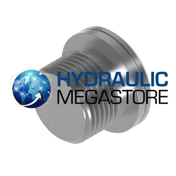M16 Socket Head Plug For bonded seal