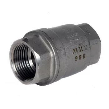 PN82 Stainless Steel Spring Check Valve 2 1/2"