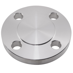 304 Stainless Steel Flanges