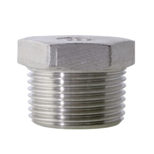 Stainless Steel NPT Hexagon Plug