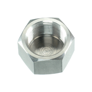 Stainless Steel BSP Hexagonal Cap