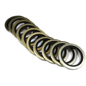 Stainless Steel BSP Dowty Seals
