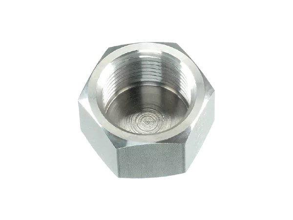 1/8" NPT female hexagonal cap