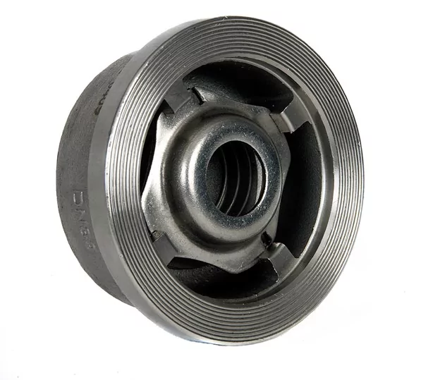 PN40 Stainless Steel Wafer Spring Check Valve 2"