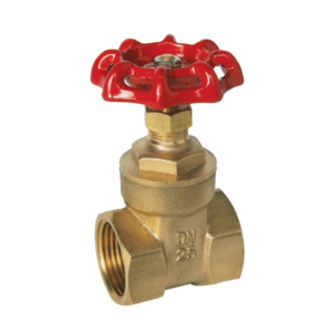 PN20 Brass Gate Valve (BSPT)