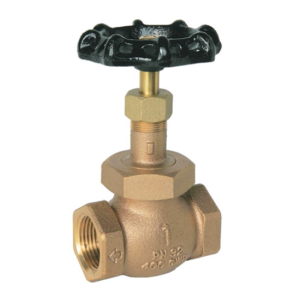 PN32 Bronze Globe Valve (BSPT)