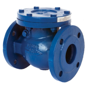 PN16 Cast Iron Swing Check Valve