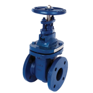 BS10 Cast Iron Gate Valve