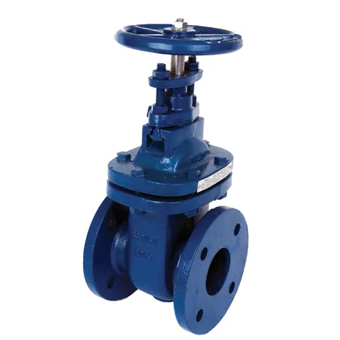 DN 80 BS 10 Cast Iron Gate Valve