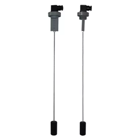 Single Float Level Switch - 1" BSP Connection