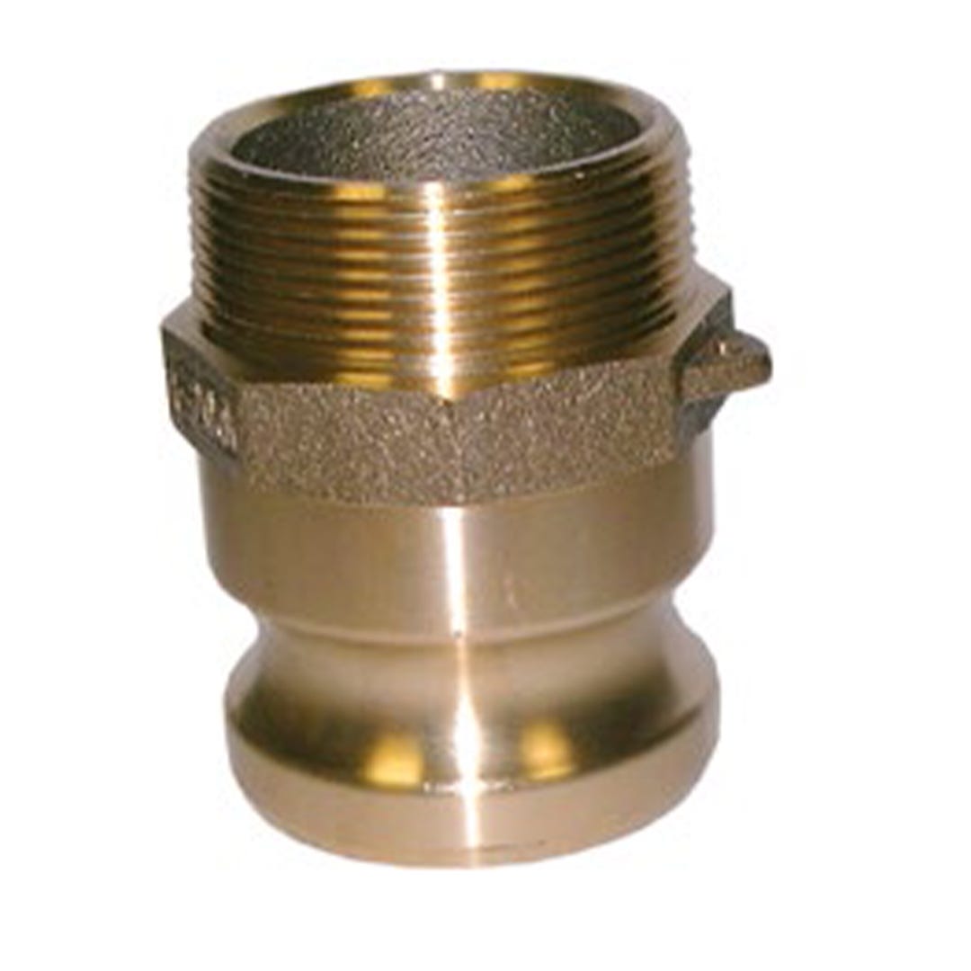 Buy Type F Camlock X BSPT Male (Brass) Online | Hydraulic Megastore