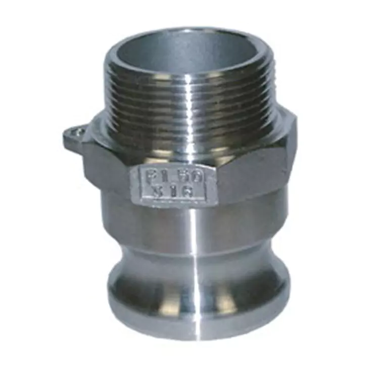 3" Type F Camlock x BSPT Male - Stainless Steel