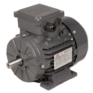 B3 Foot Mounted Electric Motor