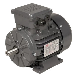 B3 Foot Mounted Electric Motor