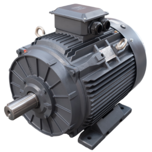 2 Pole Electric Motors (3000 RPM)