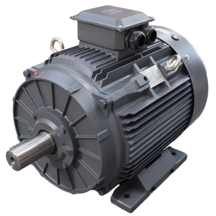 250.0kW 2 Pole Three Phase Electric Motor | Hydraulic Megastore