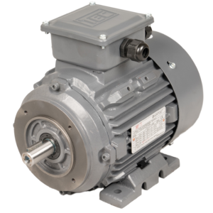 132.0kW, 6 Pole, Three Phase Electric Motor - B34 - Foot & Face Mounted