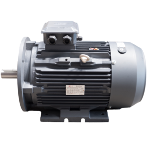 132.0kW, 6 Pole, Three Phase Electric Motor - B35 - Foot & Flange Mounted