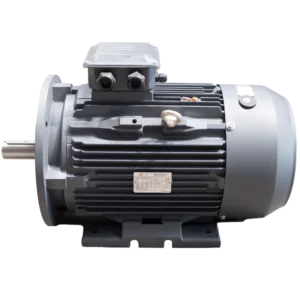 132.0kW, 6 Pole, Three Phase Electric Motor - B35 - Foot & Flange Mounted