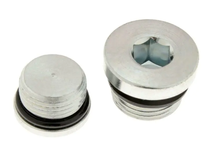 BPL100-SCS Blanking Plug