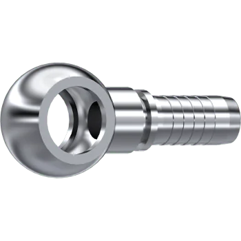 S.S. BSP BANJO   1/2" DN 1/2"