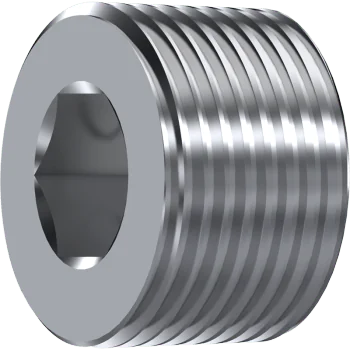 S.S. NPT ALLEN PLUG   1/4" NPT