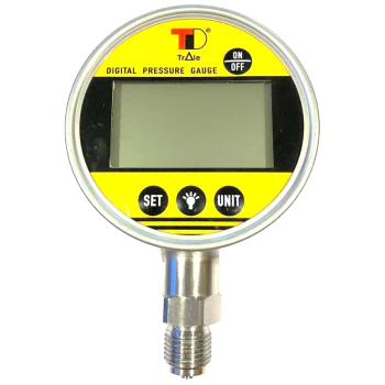 Digital pressure gauge Vertical 1/4" BSP 0-600