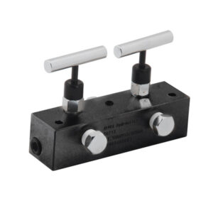 MFC2, Manifold Block, 2 Needle Valve, Oil Port  3/8"-18NPTF, 6" Long, 10,000 psi (700 bar) 2 ports - Manifold - split flow