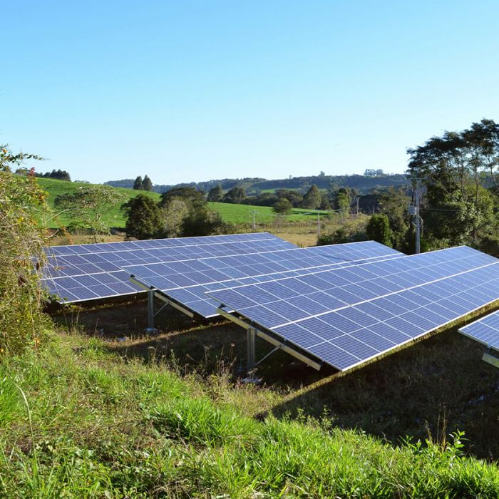 solar panels in a field
