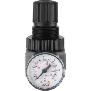 Air Treatment Regulator 0-145 psi/0-10 bar, 1/4 Ports