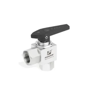 Panam 2-Way Ball Valve 300 Series, Stainless Steel 316 SS, 1/8", BSPP, Female In and Out, Delrin, Black, Angular