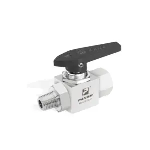 Panam 2-Way Ball Valve 300 Series, Stainless Steel 316 SS, 1/8", BSPT, Male / Female, Delrin, Black, Straight