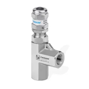 Panam, High Pressure Relief Valve, 1/4" NPT Female x 1/4" NPT Female, 50 to 350 PSI, 316 stainless steel, Fluorocarbon - FKM (Standard)