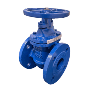 Ductile Iron Flanged Gate Valve