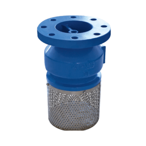Ductile Iron Foot Valve With Stainless Steel Screen