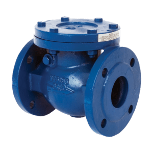 Cast Iron Flanged Swing Check Valve