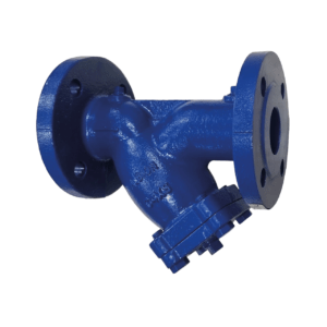 Cast Iron Flanged 'Y' Type Strainer with Tapping Points
