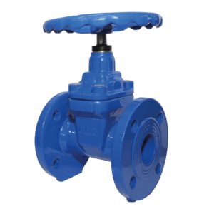 Ductile Iron Resilient Seat Gate Valve