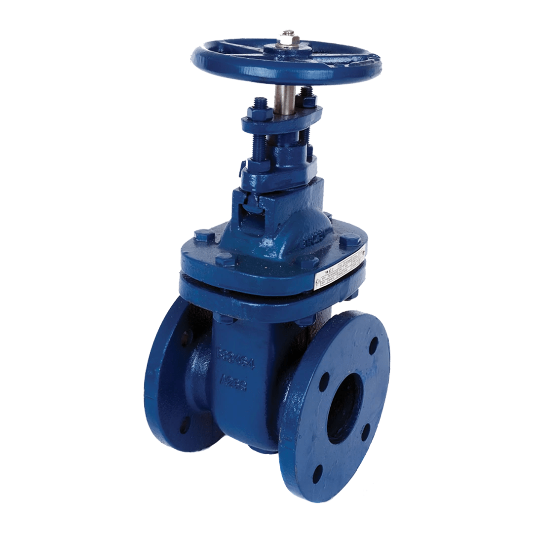 Cast Iron Flanged Gate Valve