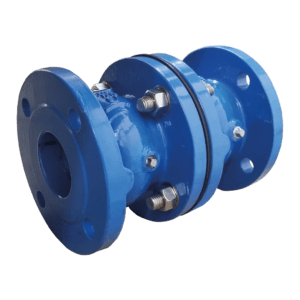 Ductile Iron Double Check Valve