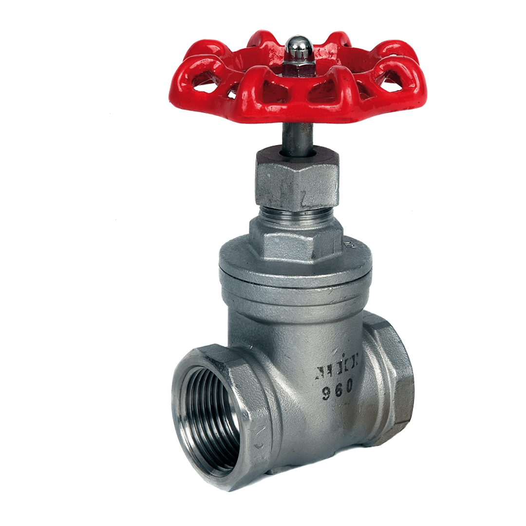 Stainless Steel Gate Valve