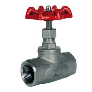 Stainless Steel Globe Valve BSPP F/F Ends