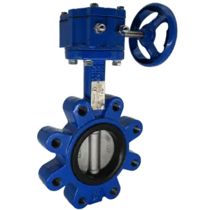 Ductile Iron Lugged and Tapped Butterfly Valves with gearbox
