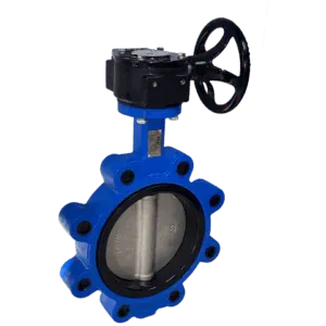 Ductile Iron Lugged and Tapped Butterfly Valve with Gearbox